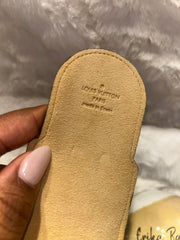 LV Monogram Pen/Comb Case