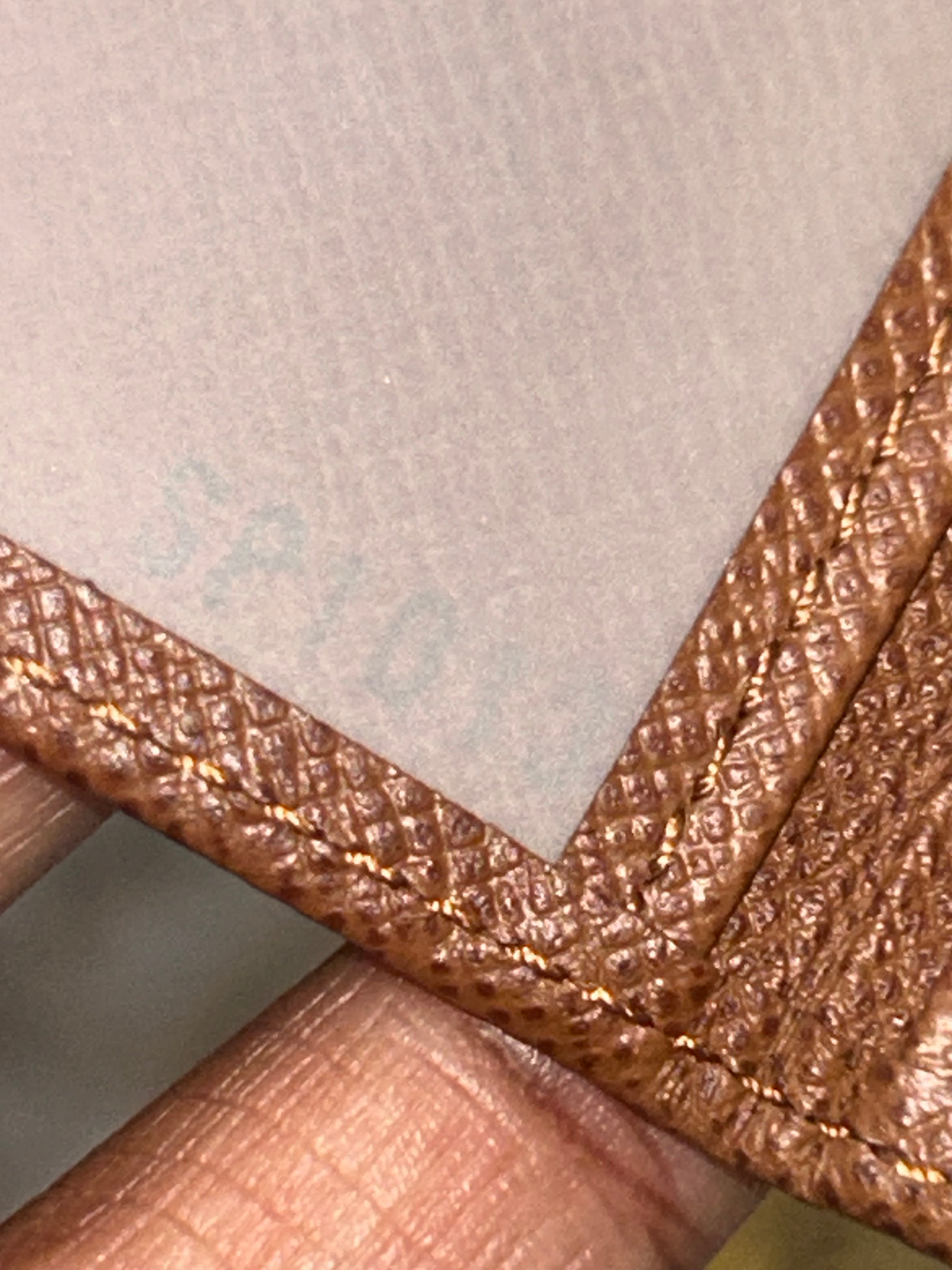LV Taiga Organizer Card Case