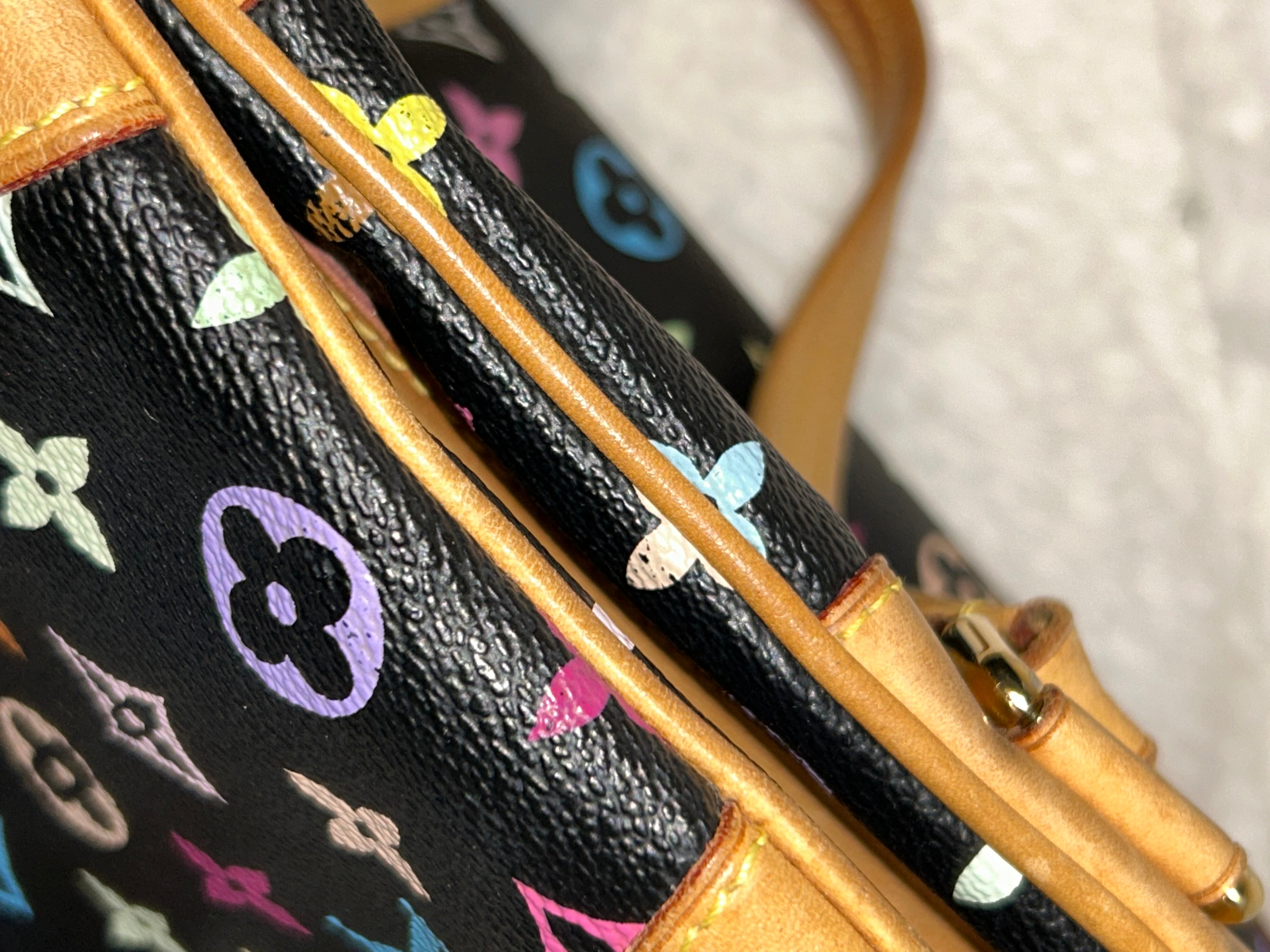 LV Multicolor Claudia Bag