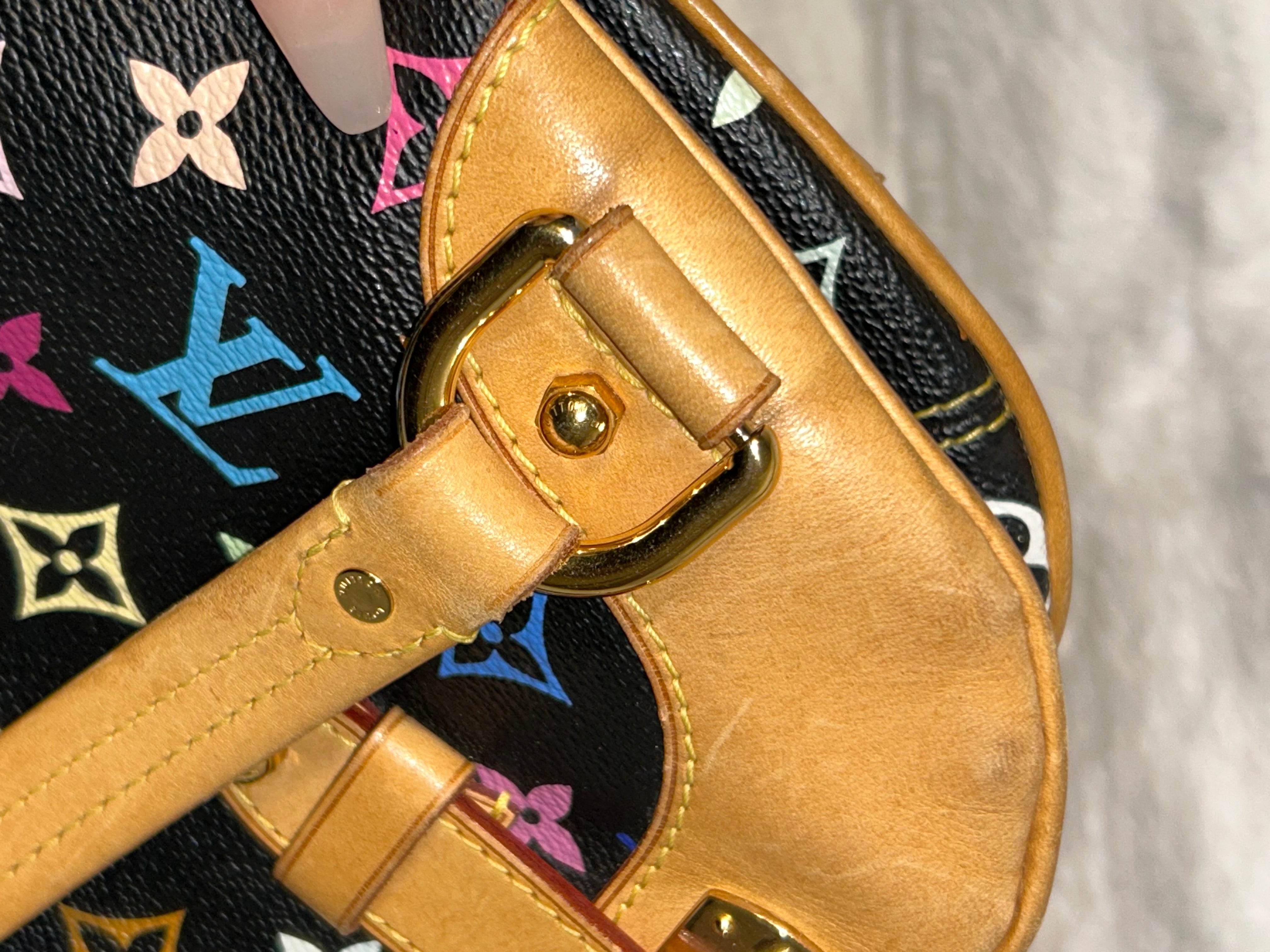 LV Multicolor Claudia Bag