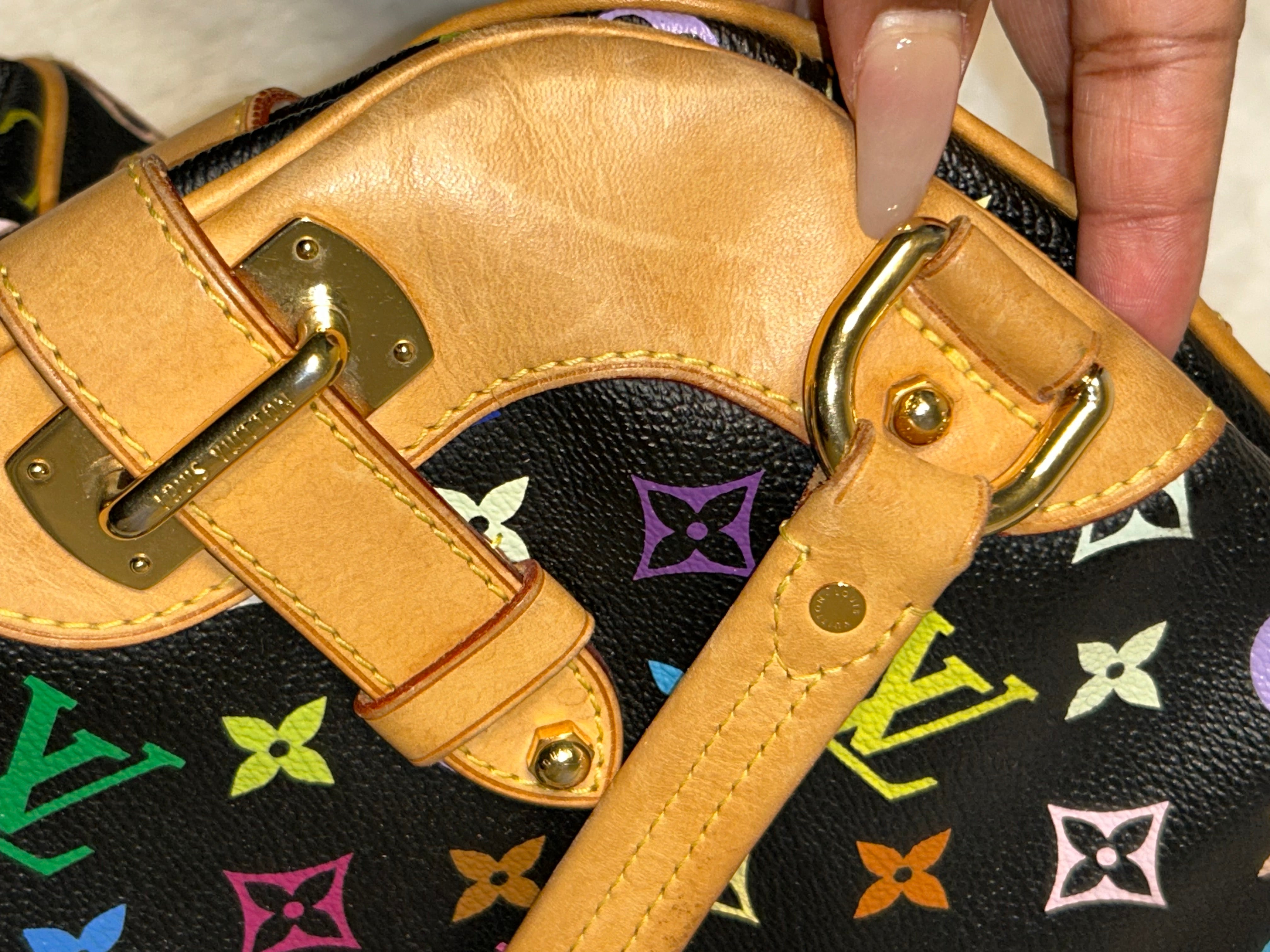 LV Multicolor Claudia Bag