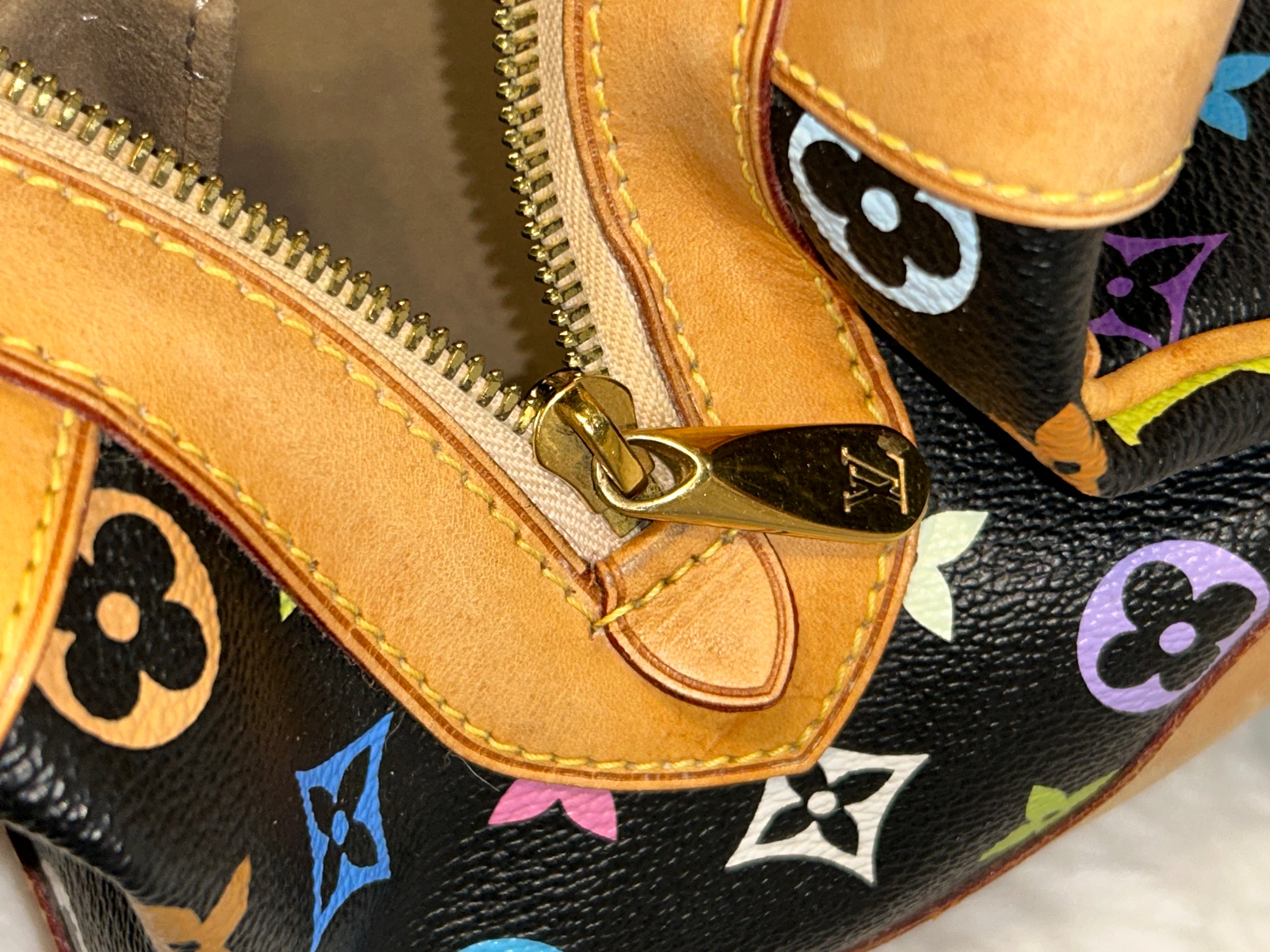 LV Multicolor Claudia Bag