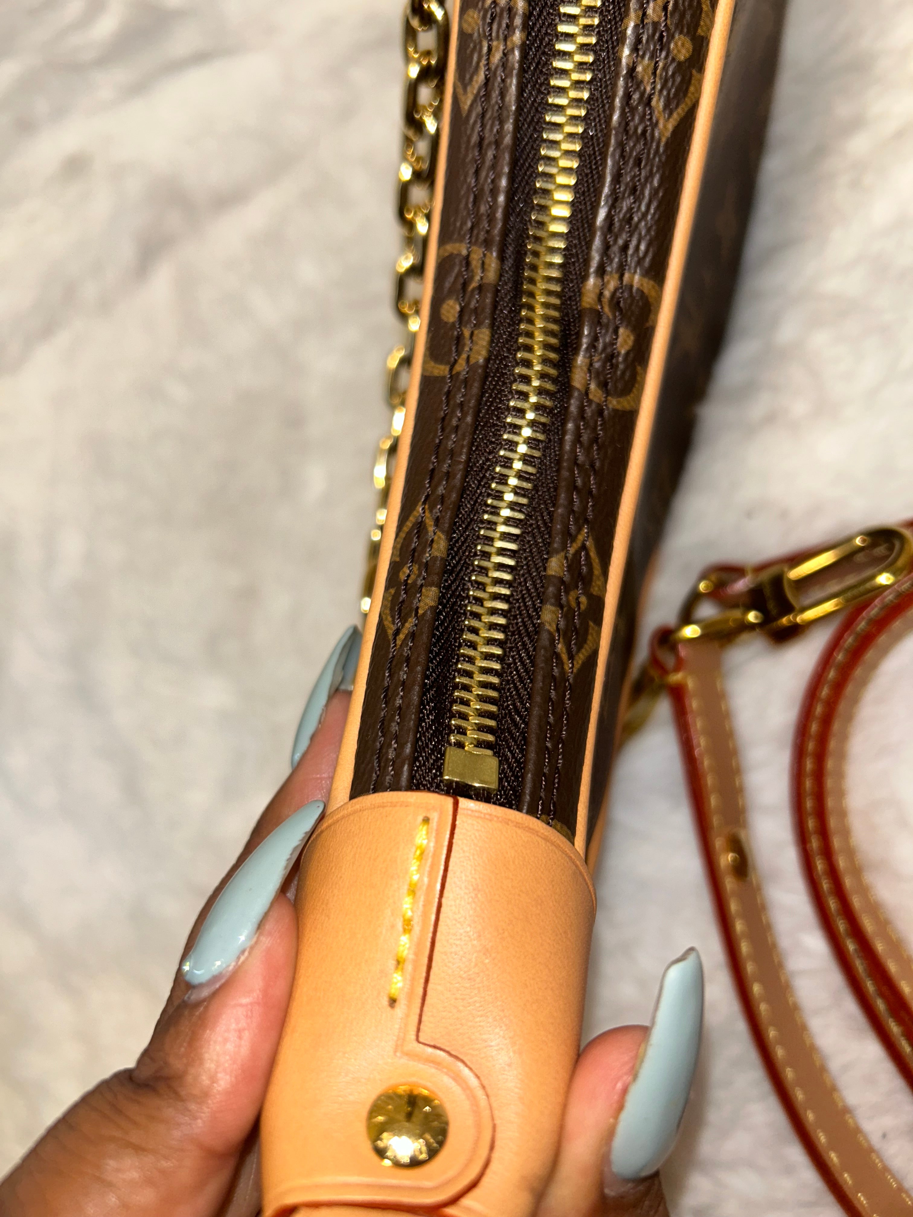 LV Monogram Loop Bag