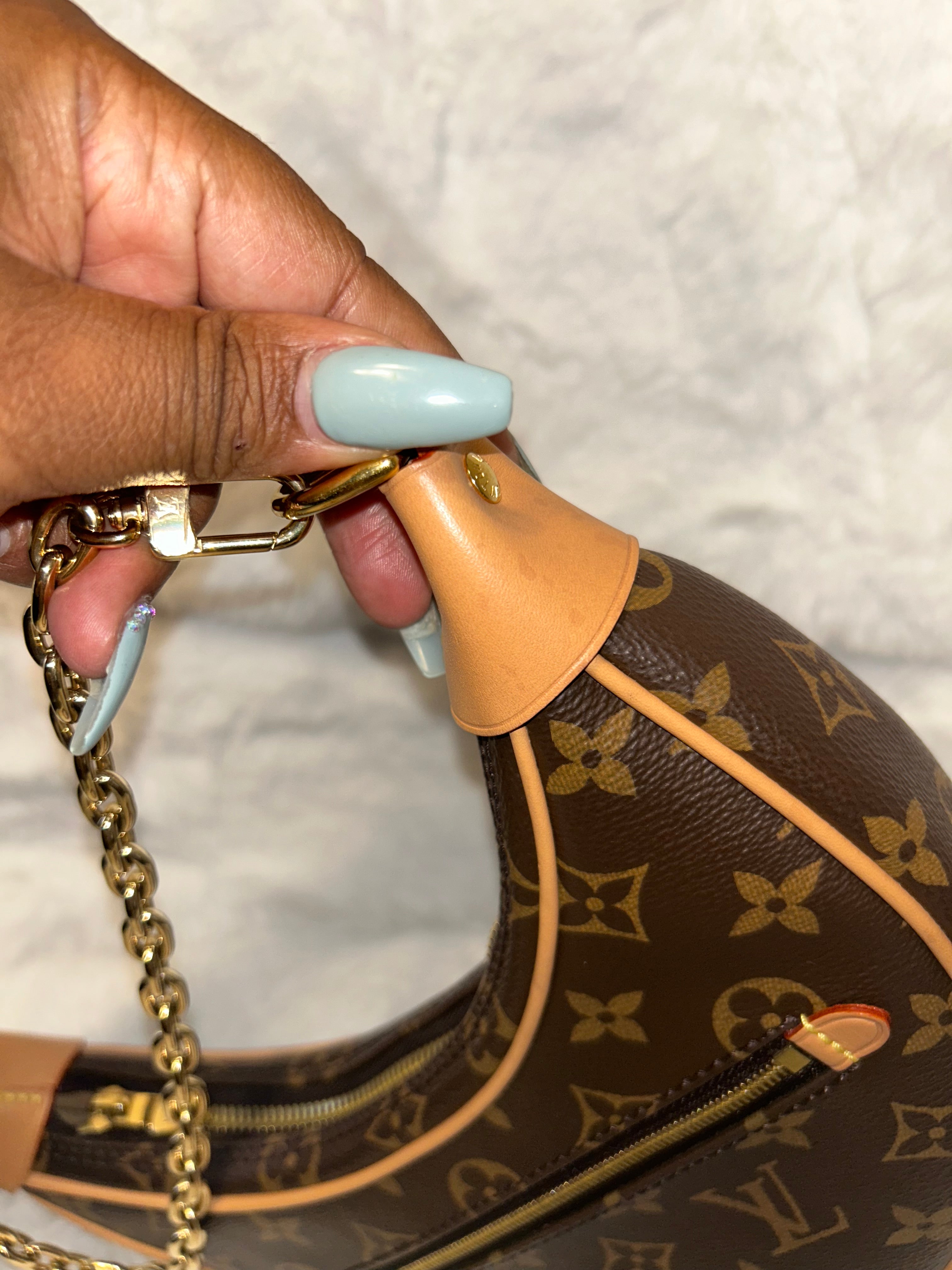 LV Monogram Loop Bag