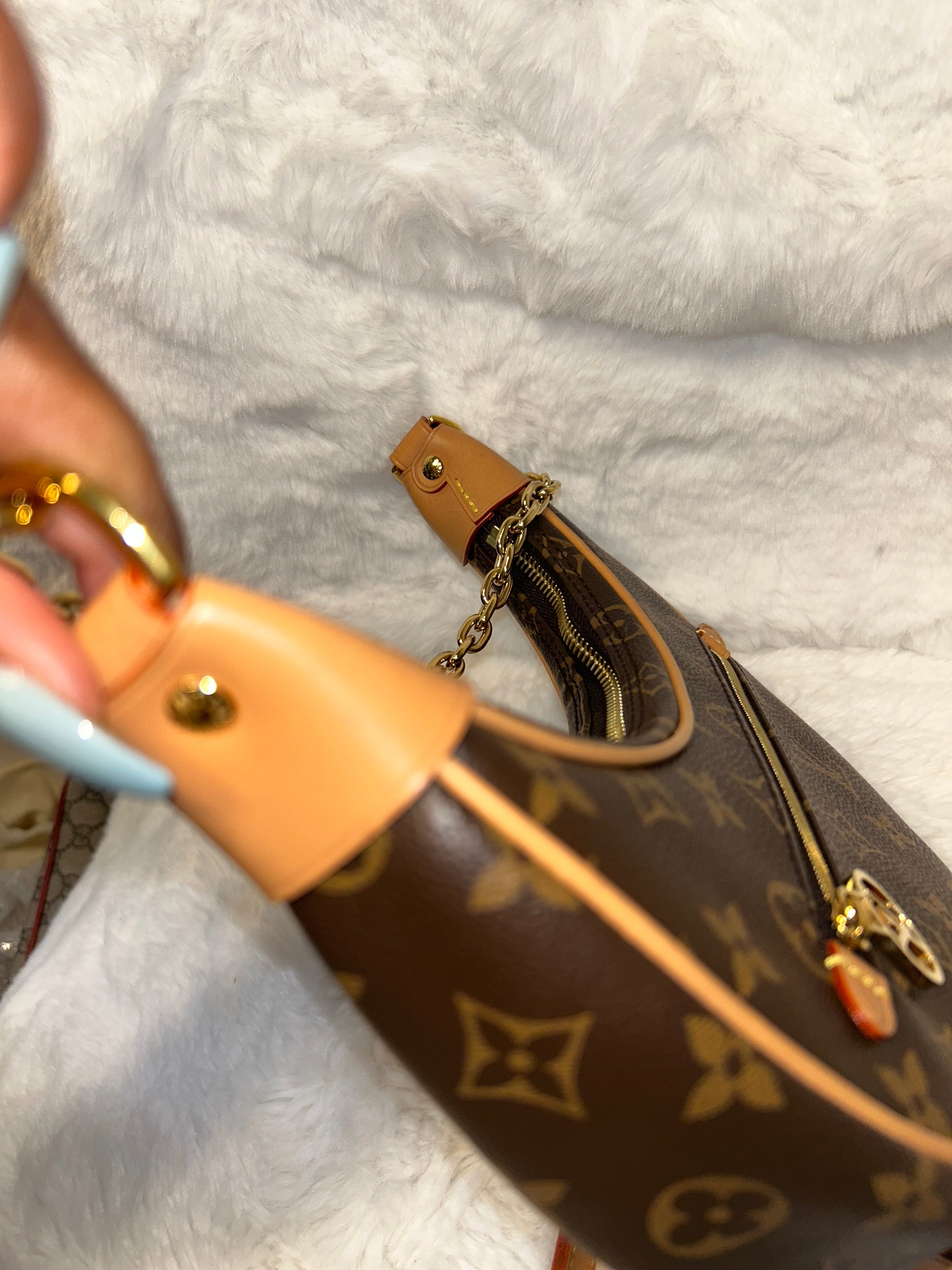 LV Monogram Loop Bag