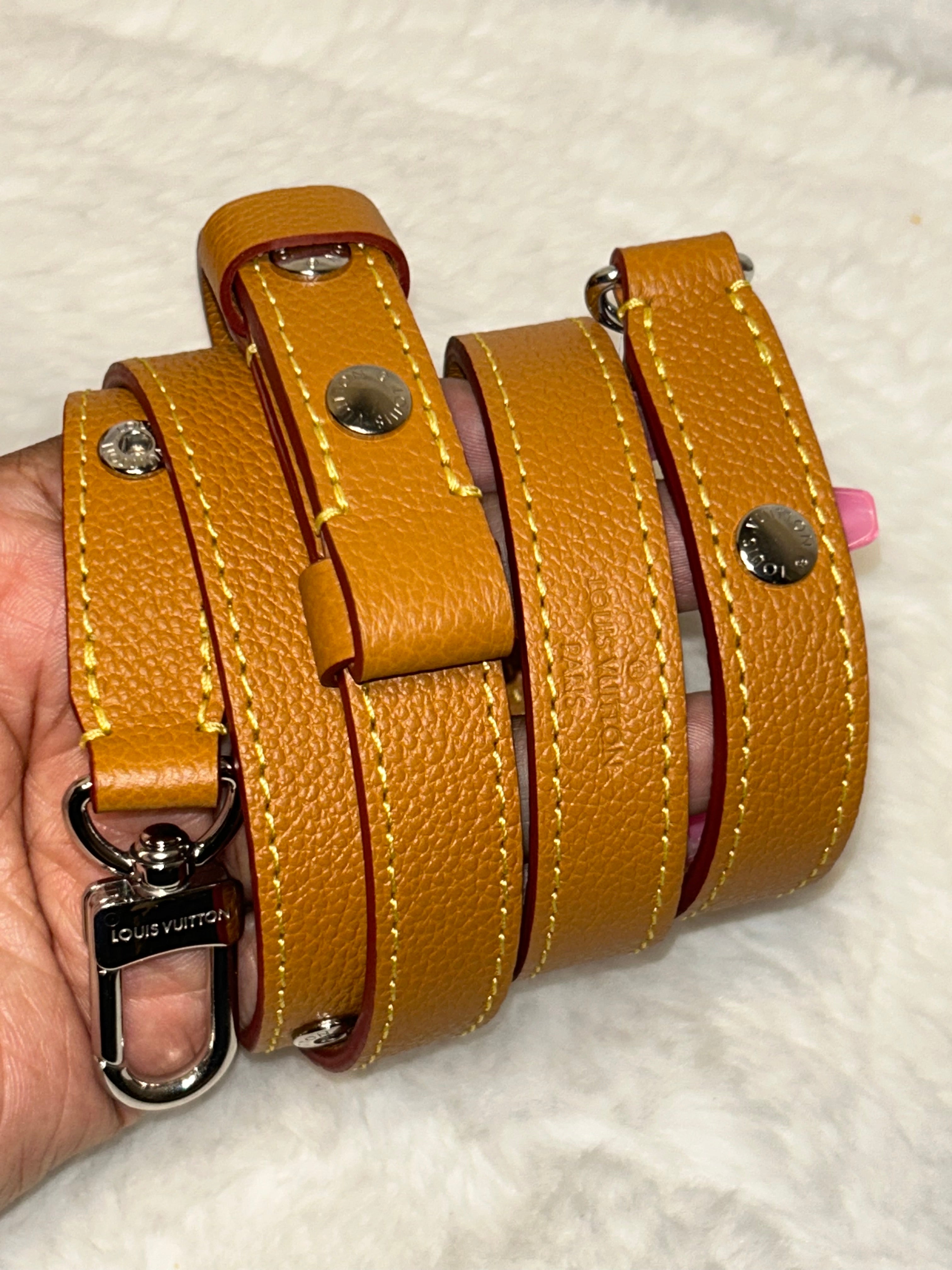 LV Buci Gold Bag