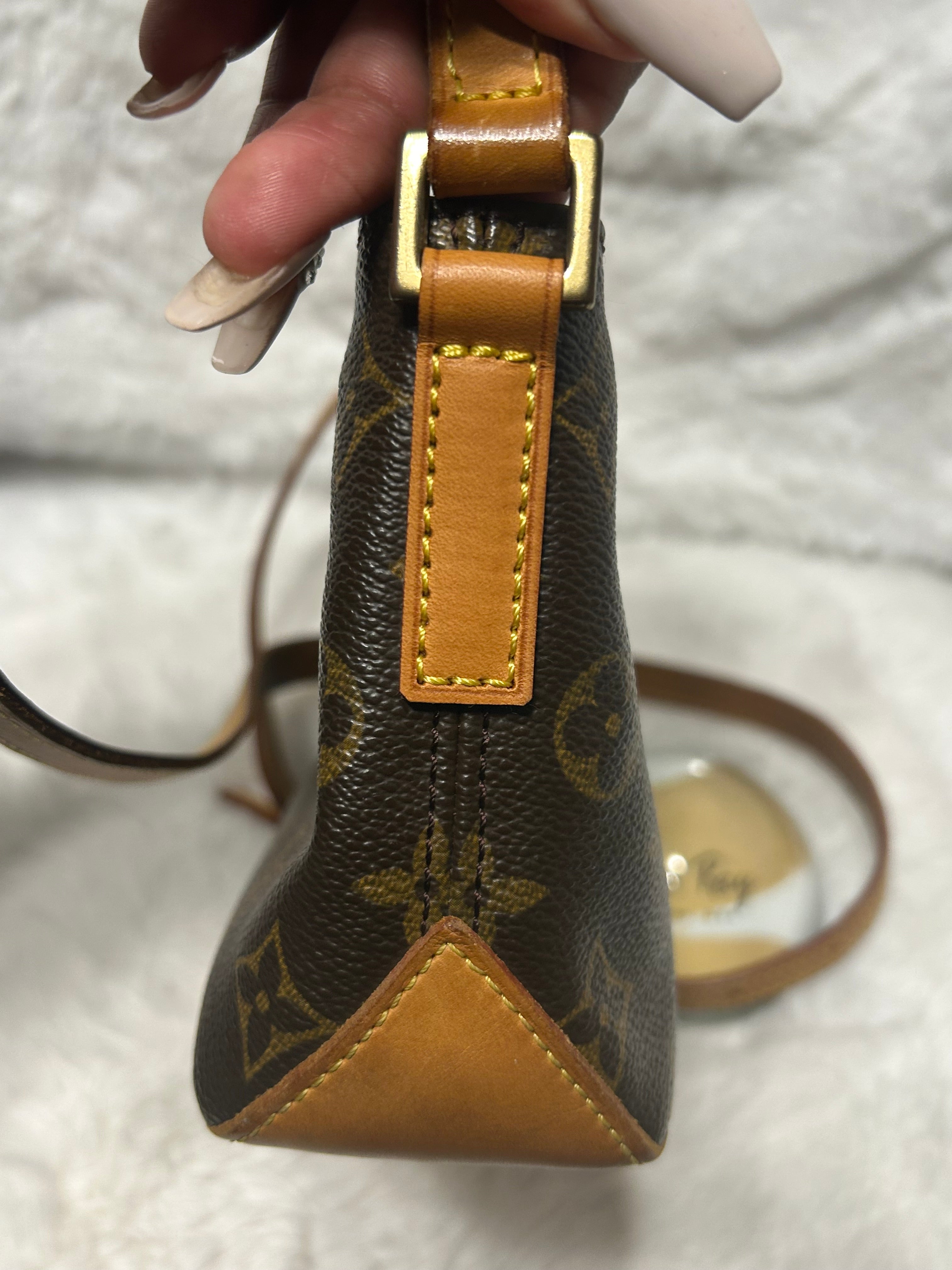 LV Monogram Troutter Bag