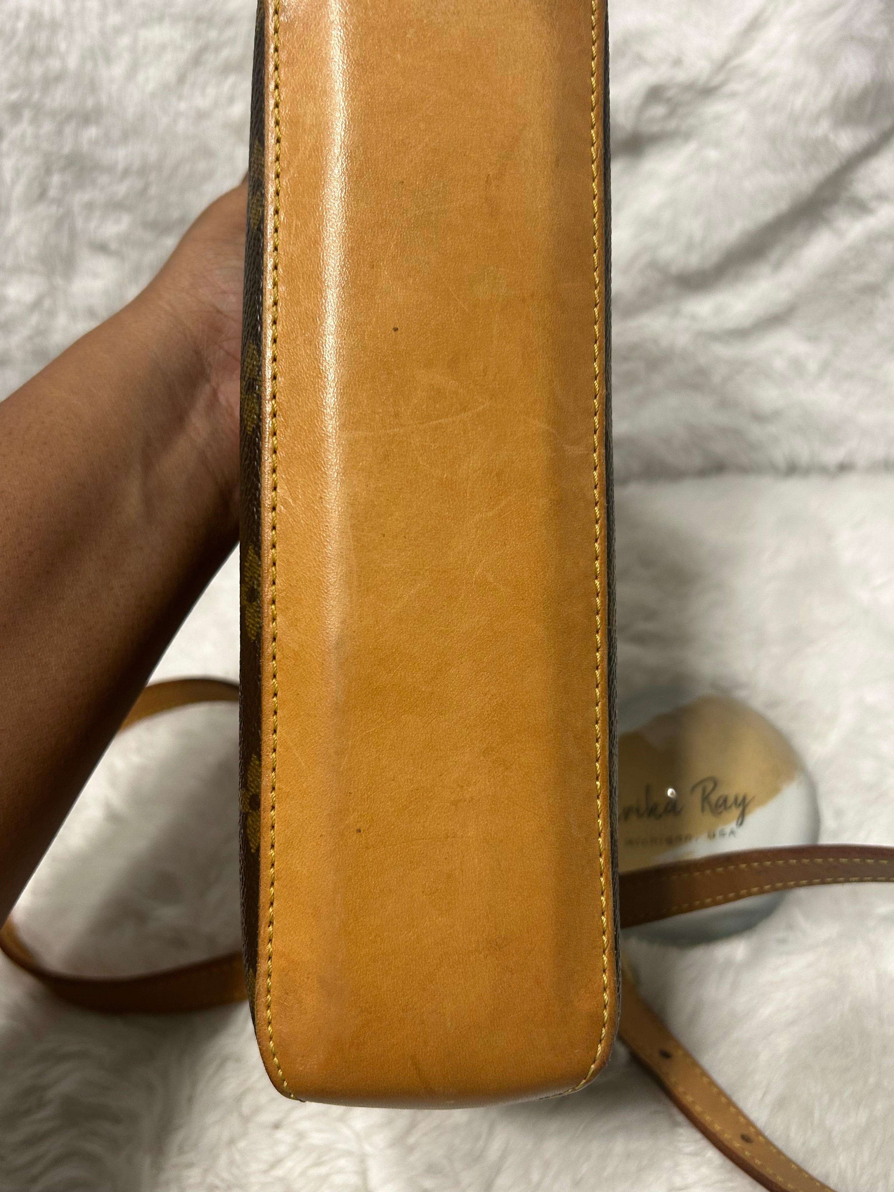 LV Monogram Troutter Bag