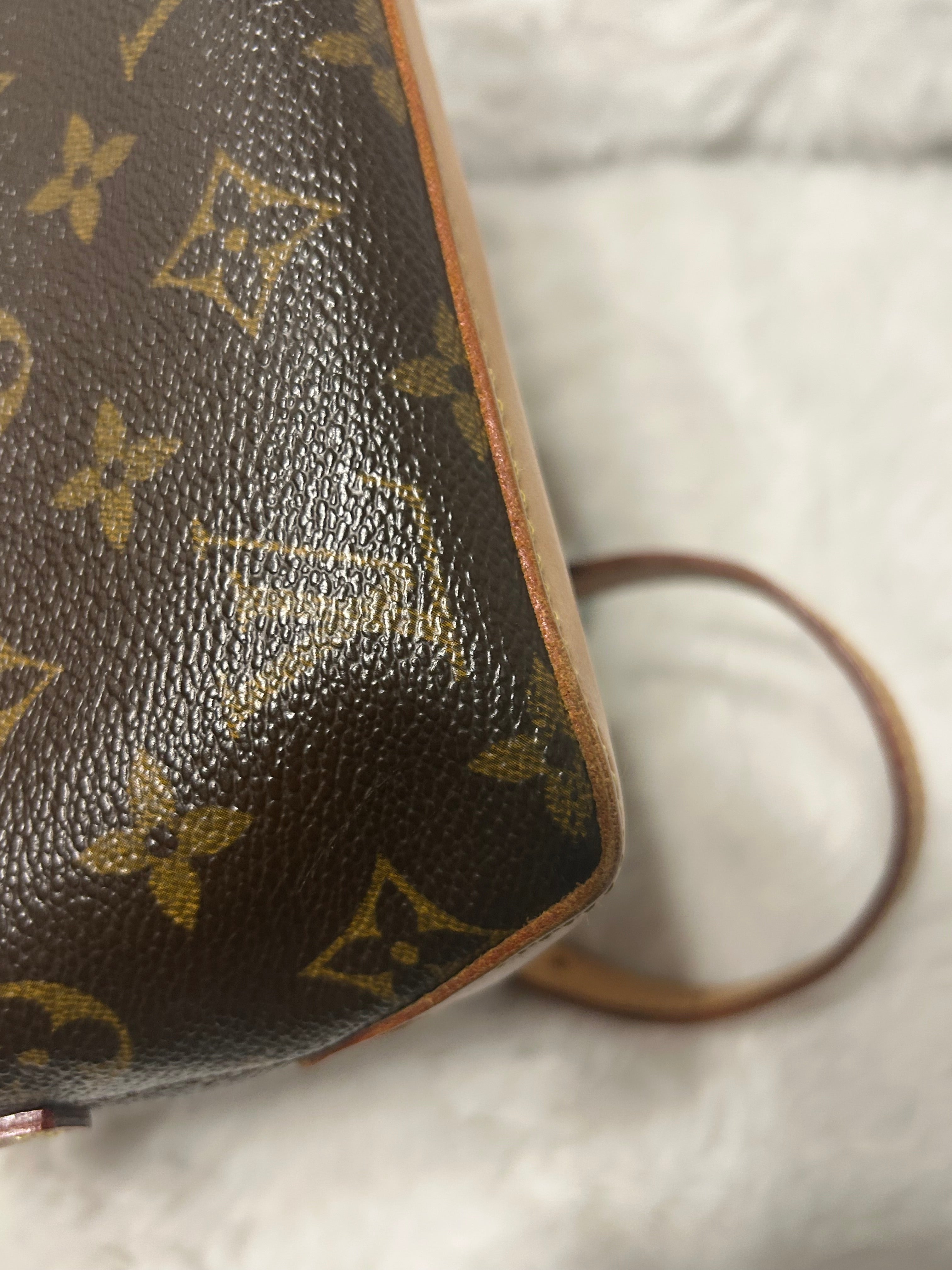 LV Monogram Troutter Bag