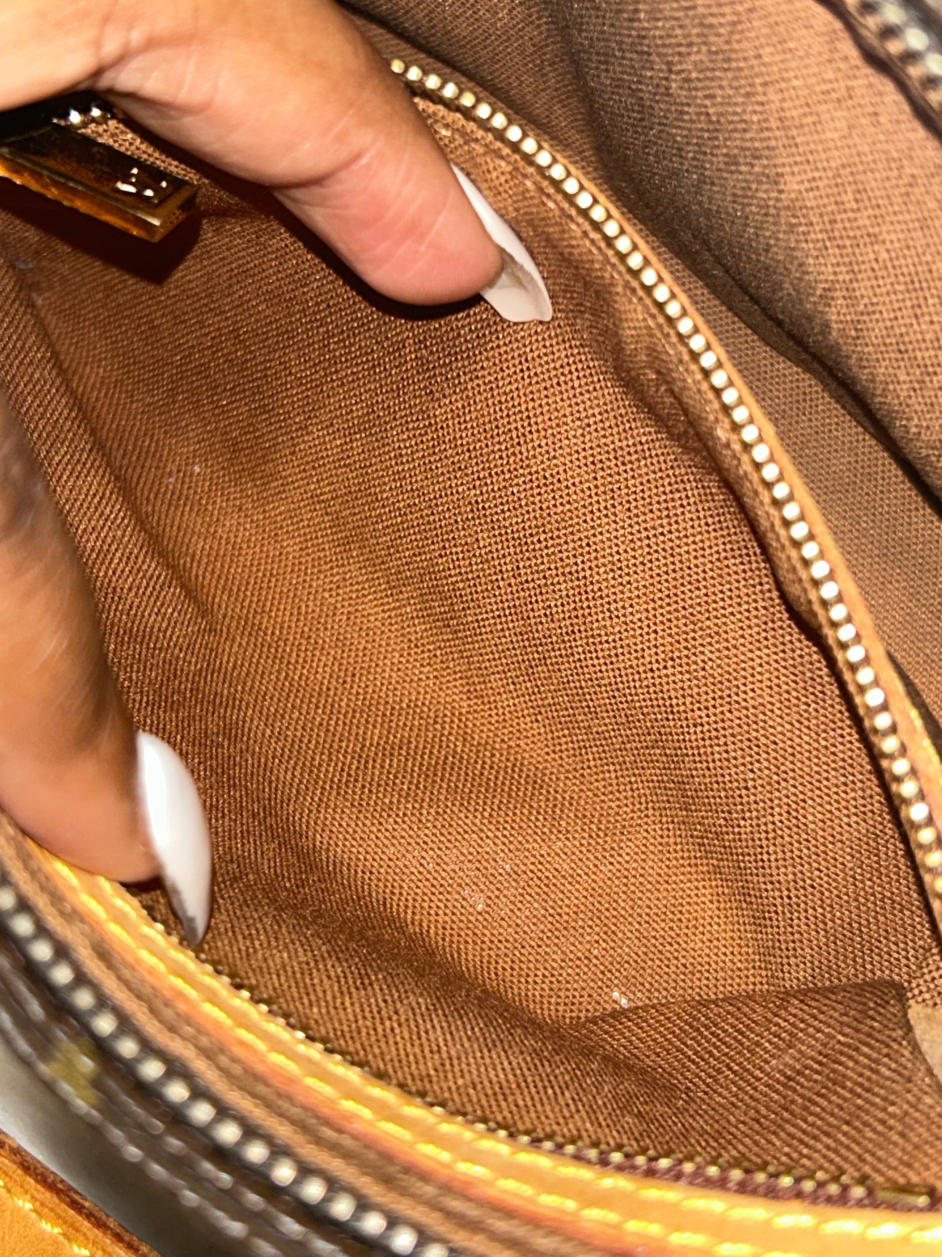 LV Monogram Troutter Bag