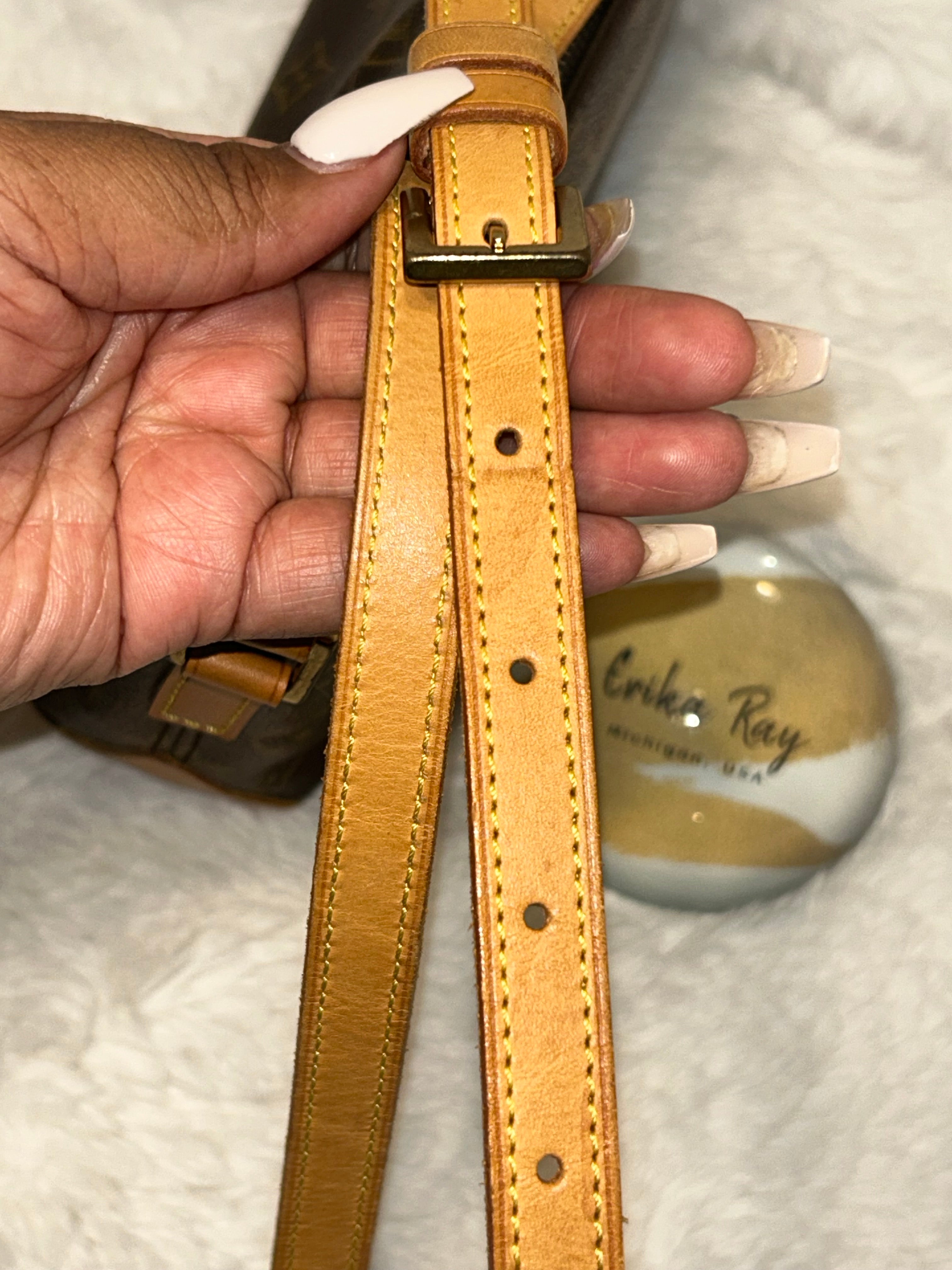 LV Monogram Troutter Bag