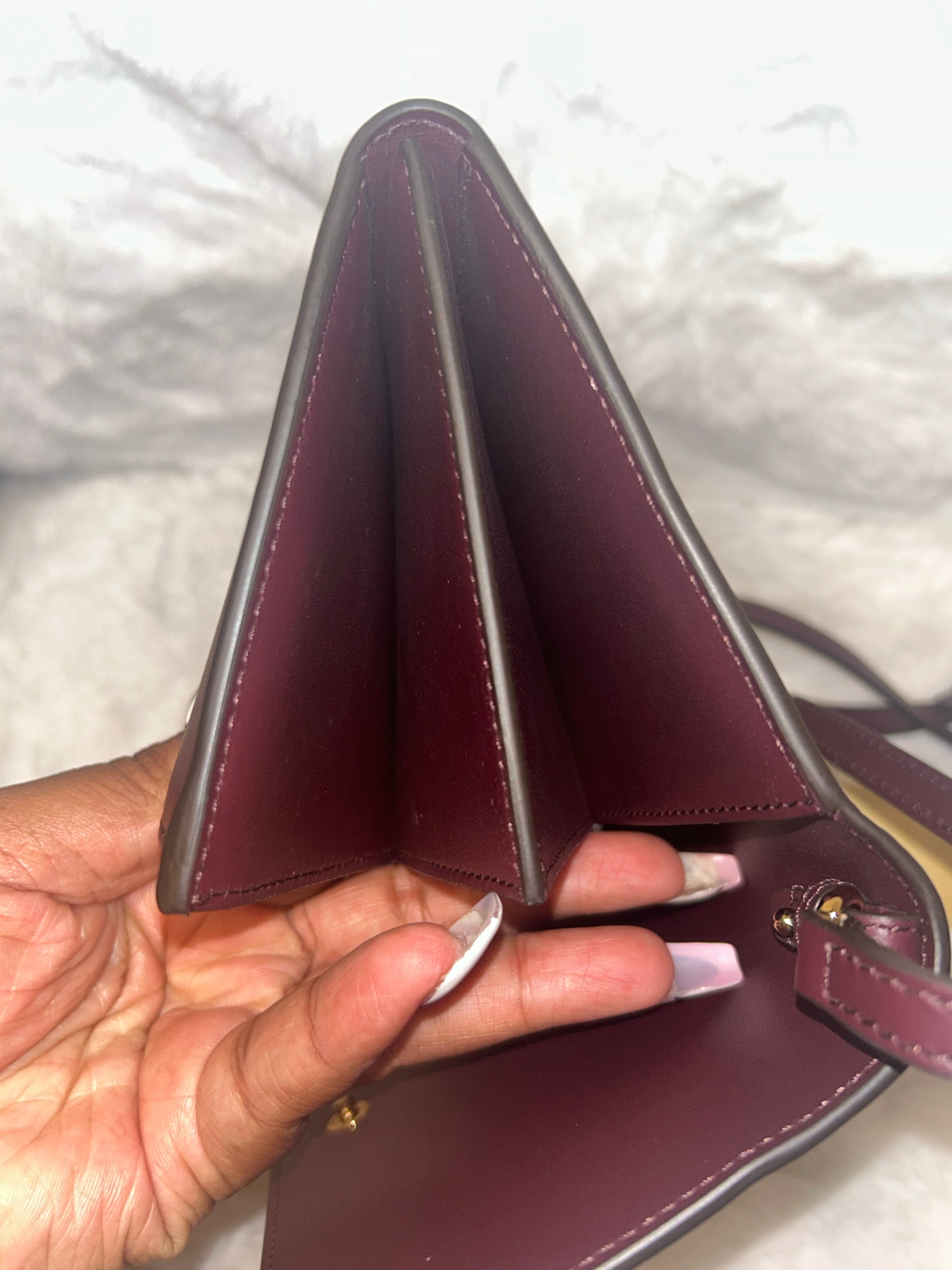 Burberry Logo Crossbody Bag